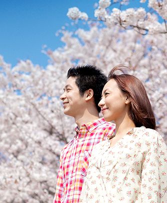 ATLAS LIFE:桜を眺めて歩く普段着の散歩道