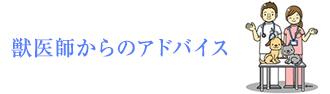 獣医師からのアドバイス