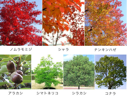 アトラス調布:植栽計画