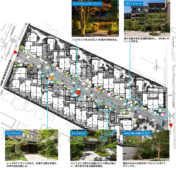 アトラス調布:植栽計画