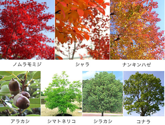 アトラス調布:植栽計画