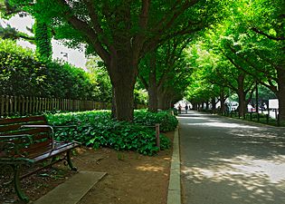 TOKYOの未来を日々感じる街、外苑に暮らす