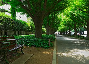 TOKYOの未来を日々感じる街、外苑に暮らす