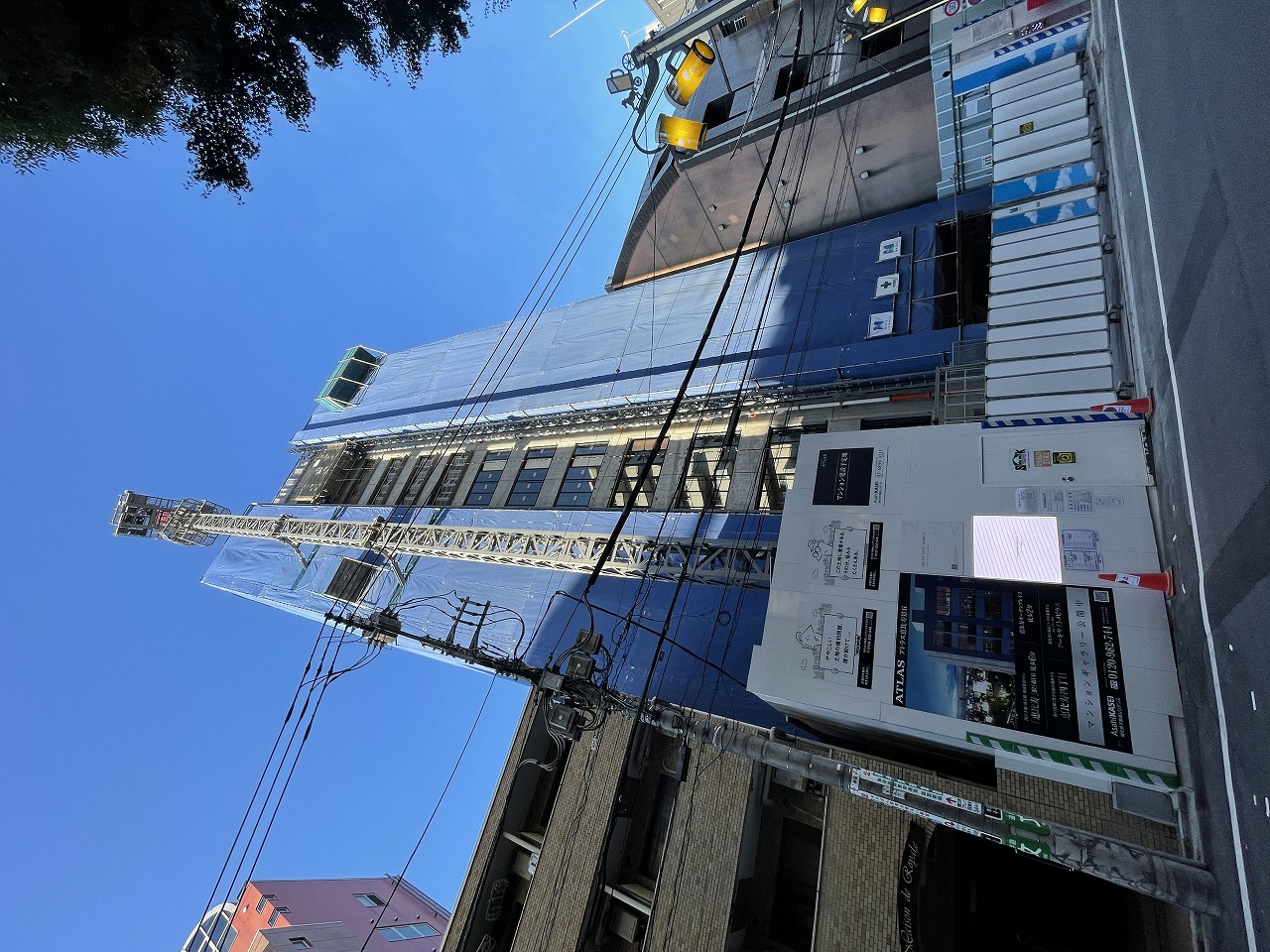 全景