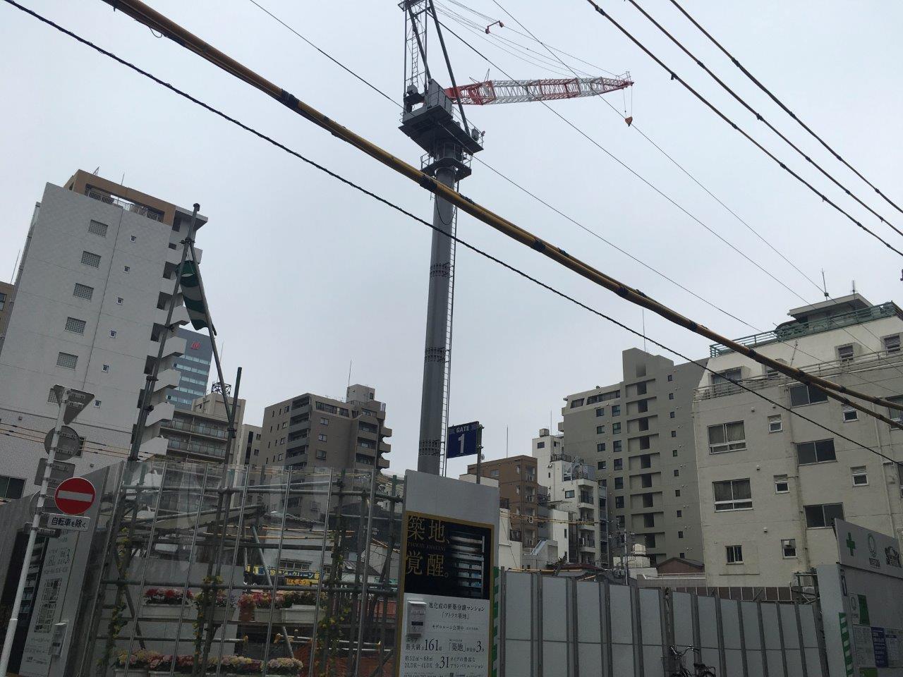 全景