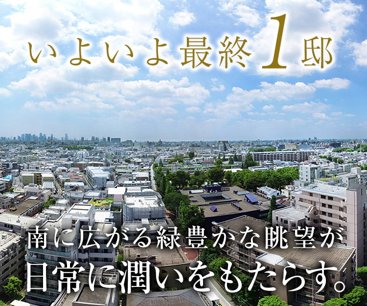 南に広がる緑豊かな眺望が日常に潤いをもたらす。
