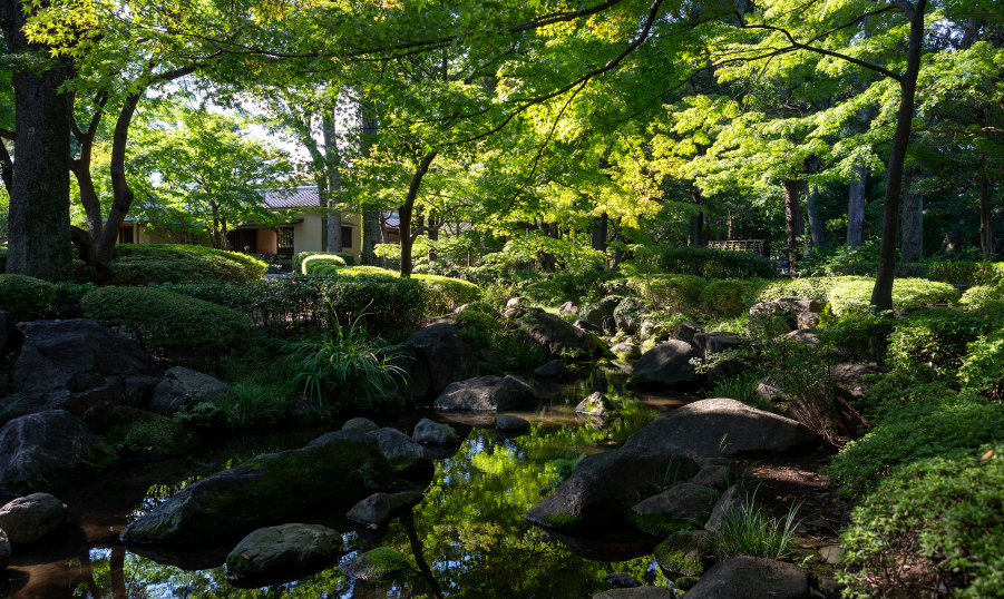 大田黒公園