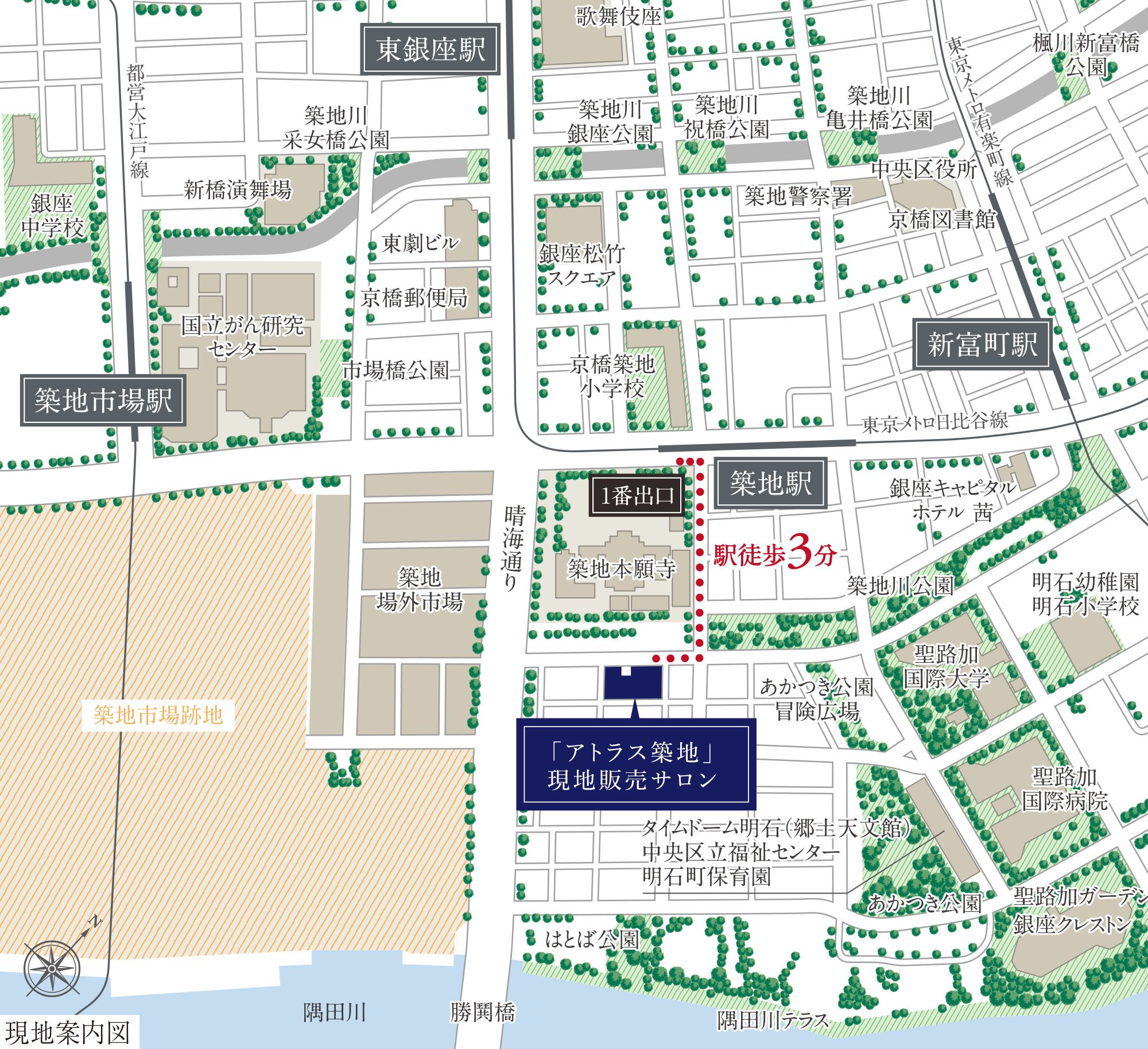 現地 レジデンスギャラリー案内図 アトラス築地 旭化成の都市型マンション