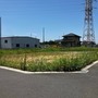 全景