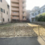 現地写真