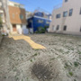 現地写真