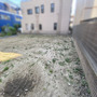 現地写真
