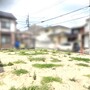 現地土地写真
