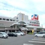 （周辺）イトーヨーカドー知多店（約1400ｍ）