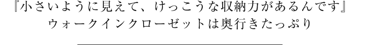 『小さいように見えて、けっこうな収納力があるんです』ウォークインクローゼットは奥行きたっぷり