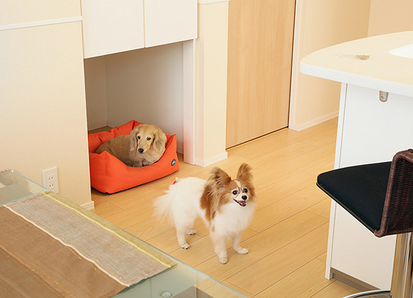 室内紹介 へーベルメゾンの特長 Hebel Hausの賃貸住宅 ヘーベルメゾン 旧ヘーベルrooms 室内紹介 へーベルメゾンの特長 Hebel Hausの賃貸住宅 ヘーベルメゾン 旧ヘーベルrooms