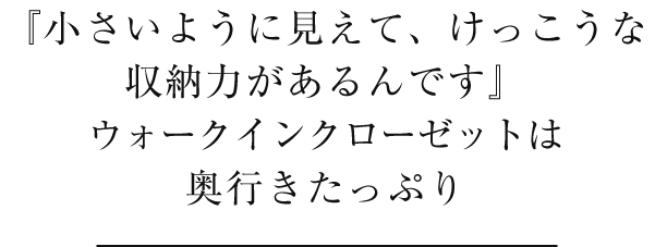 『小さいように見えて、けっこうな収納力があるんです』ウォークインクローゼットは奥行きたっぷり