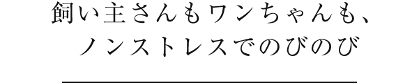 飼い主さんもワンちゃんも、ノンストレスでのびのび