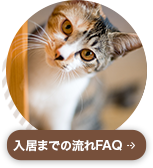 よくあるご質問