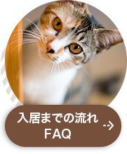 よくあるご質問