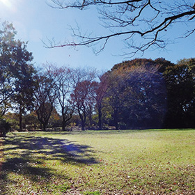 赤塚公園