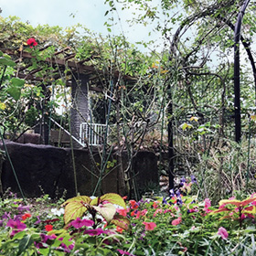 赤塚植物園