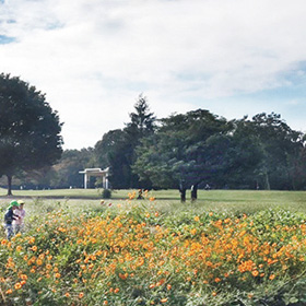 光が丘公園芝生広場