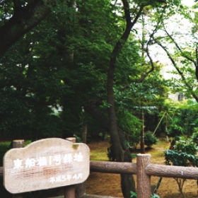 東船橋1号緑地
