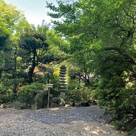 市民緑地(北烏山九丁目屋敷林)