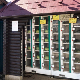 とれたて野菜無人販売