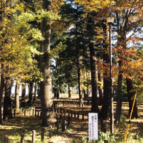 東中前の森緑地