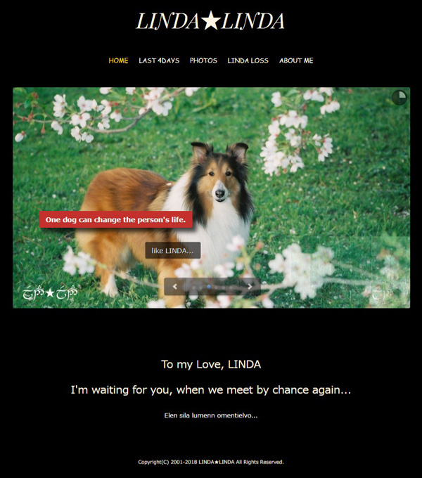 大塚さんがペットロスになったときに作成した愛犬のホームページキャプチャ