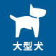 大型犬