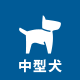 中型犬