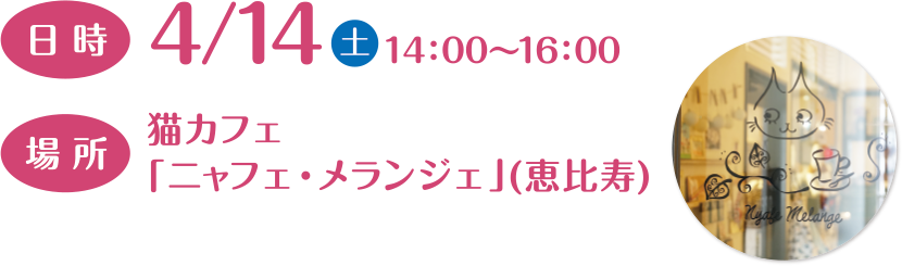 日時 4/14（土）14:00～16:00 場所 猫カフェ「ニャフェ・メランジェ」（恵比寿）