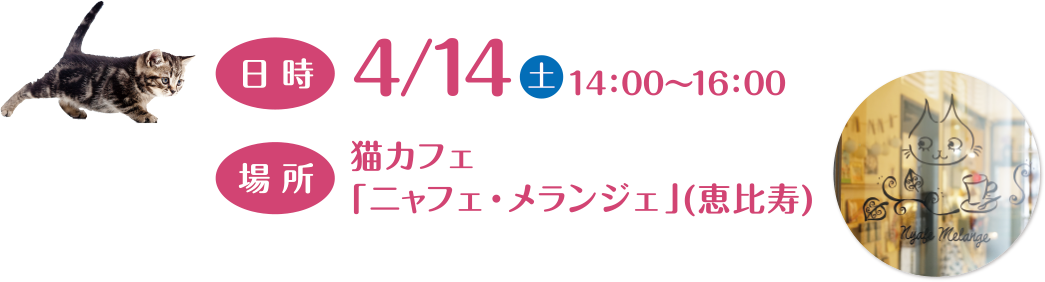 日時 4/14（土）14:00～16:00 場所 猫カフェ「ニャフェ・メランジェ」（恵比寿）