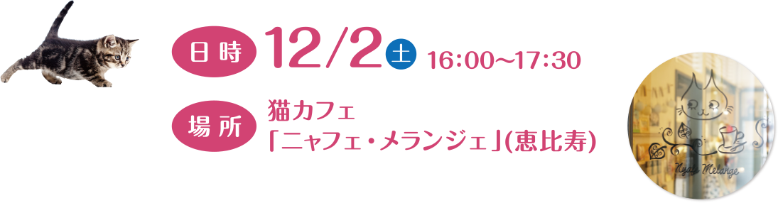 日時 12/2（土）16:00〜17:00 場所 猫カフェ「ニャフェ・メランジェ」（恵比寿）