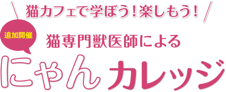 猫カフェで学ぼう！楽しもう！猫専門獣医師によるにゃんカレッジ