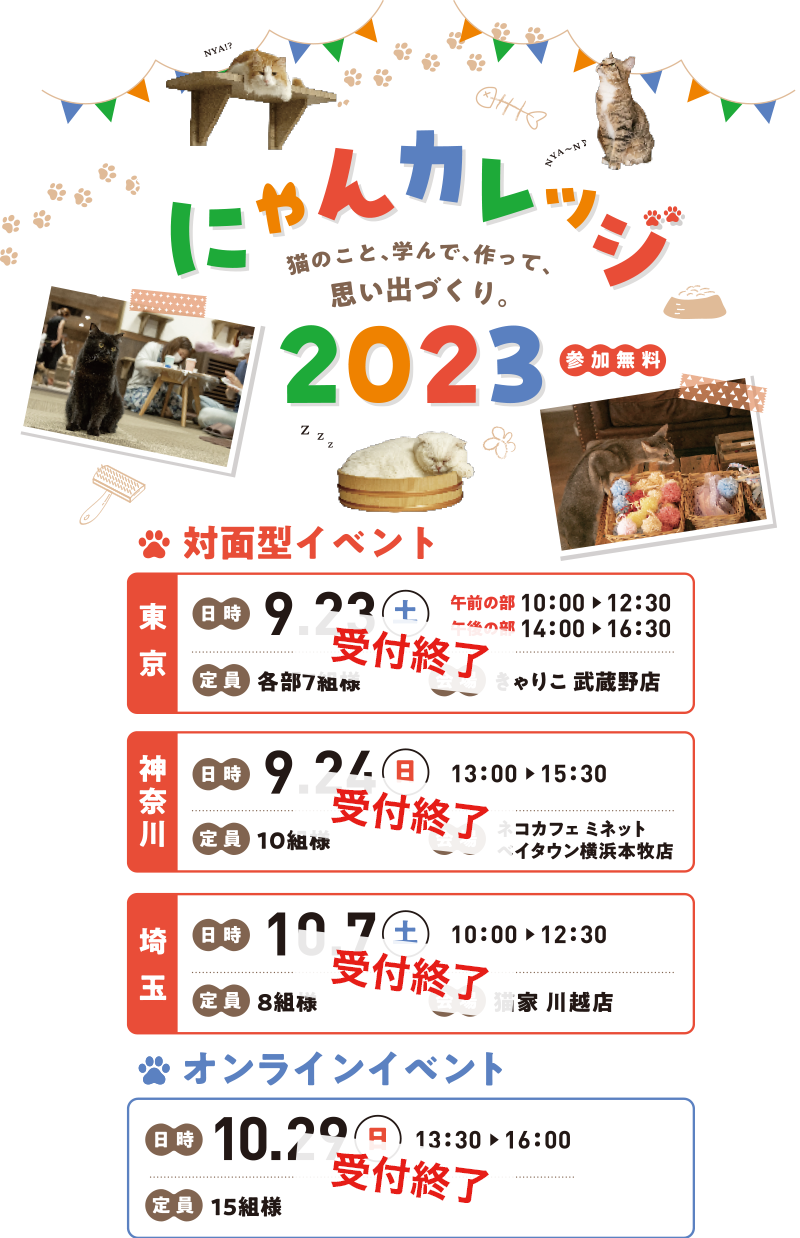 猫のこと、学んで、作って、思い出づくり。にゃんカレッジ2023 参加無料