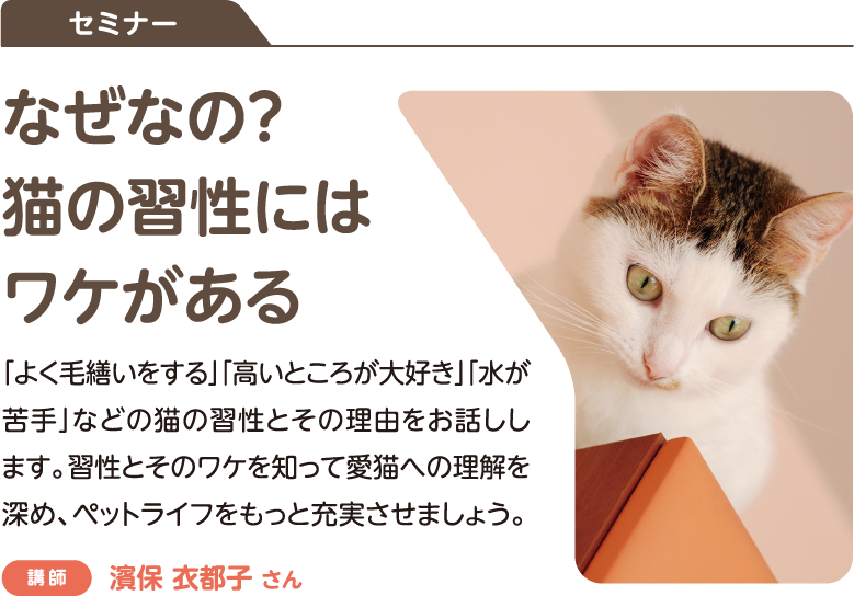 セミナー：なぜなの?猫の習性にはワケがある