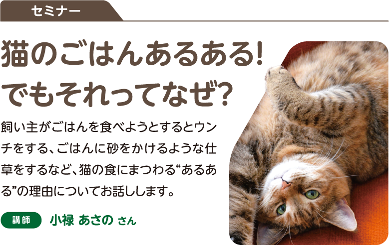 セミナー：猫のごはんあるある!でもそれってなぜ?