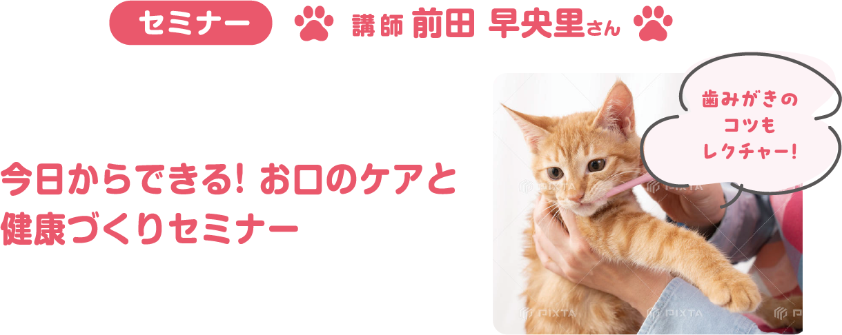 セミナー:今日からできる！お口のケアと健康づくりセミナー 講師:前田 早央里さん