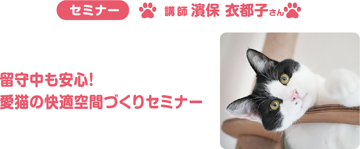 セミナー:留守中も安心！愛猫の快適空間づくりセミナー 講師:濱保 衣都子さん