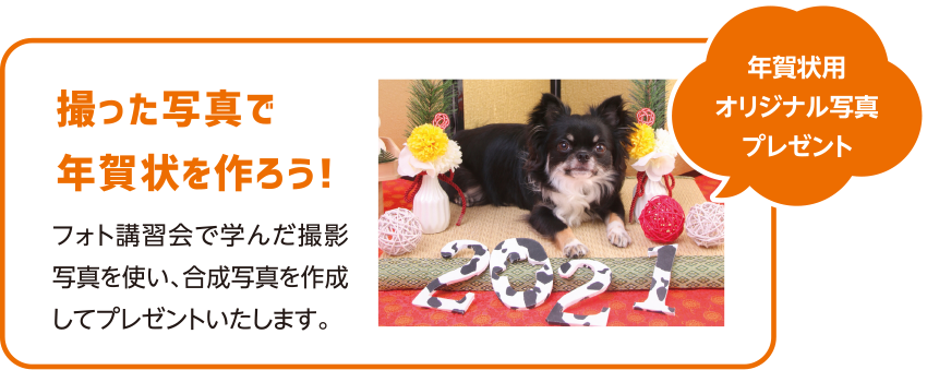 わんわんイベント イベント情報 出かけたい ヘーベルメゾンペット共生賃貸ライフ プラスわんプラスにゃん倶楽部 わんわんイベント イベント情報 出かけたい ヘーベルメゾンペット共生賃貸ライフ プラスわんプラスにゃん倶楽部
