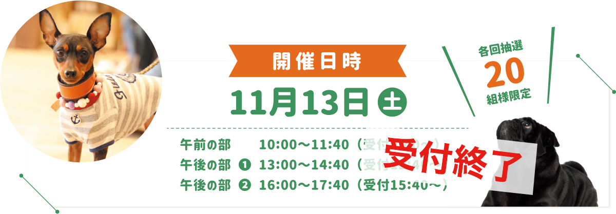 開催日時：11/13(土)午前の部・午後の部1・午後の部2（各回抽選20組様限定）