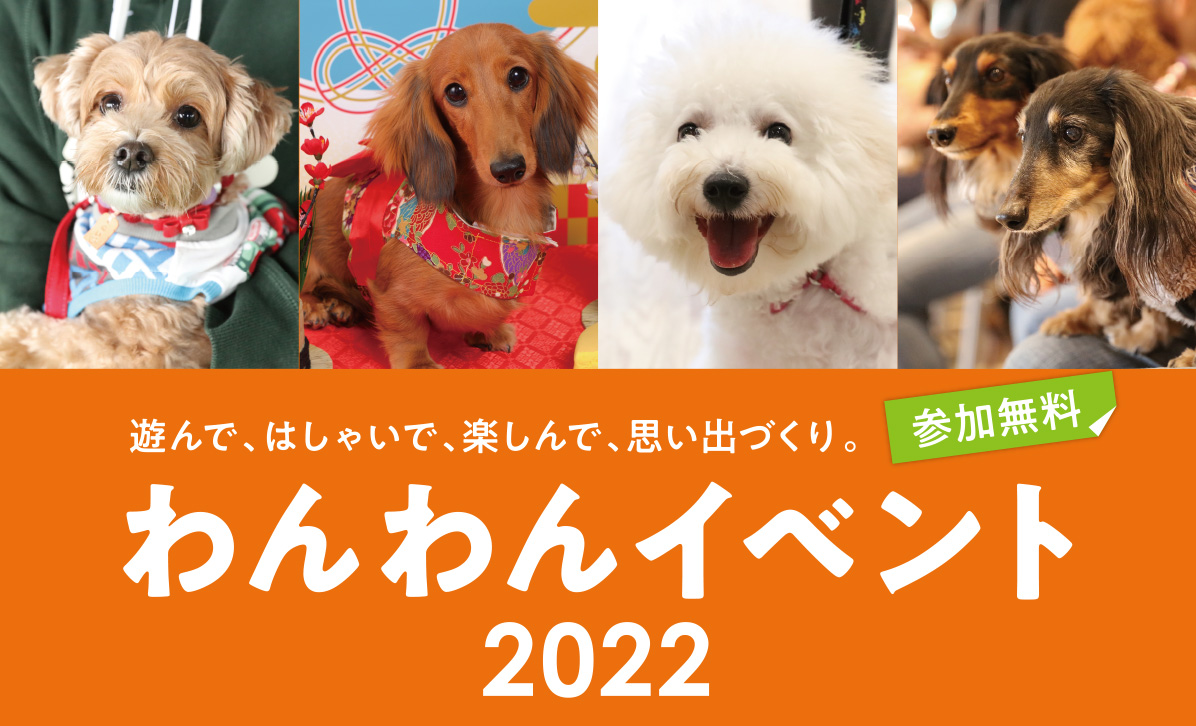 遊んで、はしゃいで、楽しんで、思い出づくり。わんわんイベント2022（参加無料）