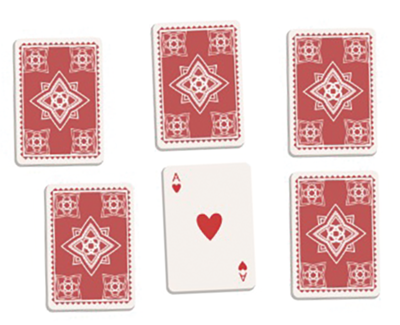 愛犬と神経衰弱トランプゲーム