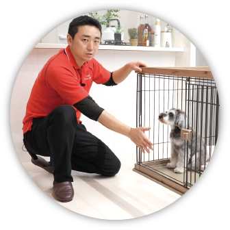 佐久間トレーナー