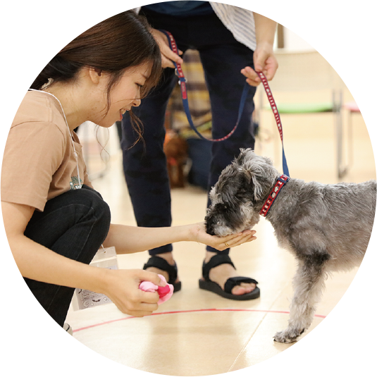 伝言ジェスチャーゲーム