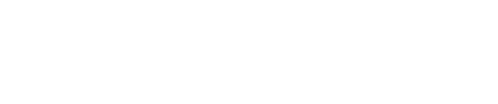 愛犬と神経衰弱トランプゲーム
